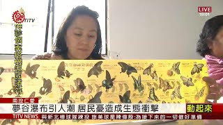 夢谷瀑布堪稱蝴蝶天堂 民憂人潮破壞生態 2020-07-14 IPCF-TITV 原文會 原視新聞