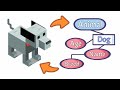 OOP Basics: Learn Object-Oriented Programming