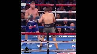 CANELO REALIZES GGG HAS A GRANITE CHIN😱 #SHORTS