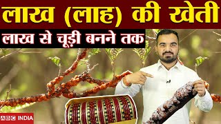 लाख की खेती | Lakh ki kheti | Lah Farming | Lac Cultivation | lakh ki kheti kaise karen | लाह खेती