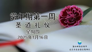 2025年1月16日（四）每日圣道礼仪  圣衣会彭志顺神父主持                Mandarin Liturgy of Word by Fr Anselm Phang, OCD