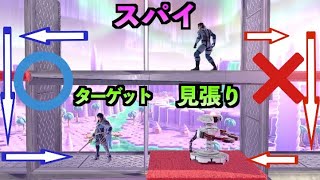 【爆笑】最強スパイ大作戦！見つかる前にターゲットを倒せ！【スマブラSP検証】