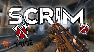 DESTROYING TRIBE GAMING in CODM... (PRO Scrims)