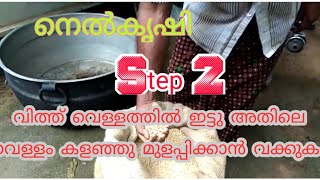 നെൽകൃഷി  step2/paddy farming step 2/വിത്ത് വെള്ളത്തിൽ ഇട്ടു അതിലെ വെള്ളം കളയാൻ വക്കുക /life beats