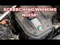 BMW 3.0L Valve Cover Replacment N52 screeching whining 2007-2012?