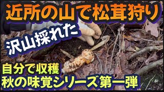 【田舎暮らしの醍醐味】師匠と近所の山へ松茸狩りに行ったら驚きの数が採れました！松茸料理で堪能