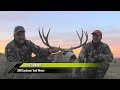 wide buck comes out of hiding mule deer rut eastmans hunting tv