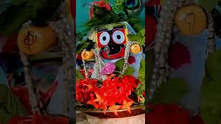 ସଖି ଆସିଲା କାତୀକ ମାସ#odiabhajan #shorts #jagannath