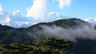 【旅エイター旅行記・0118】島巡りの旅『屋久島②』　鹿児島県・薩南諸島・一人旅