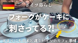 【ケーキに群がる蜂とドイツの夏】蜂を駆除すると罰金？！｜ドイツのケーキにはフォークが刺さってる｜魚のサンドイッチと塩漬けされたニシン｜簡単パスタとドイツビール