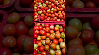 బీ.కొత్తకోట KSB టమోటా మార్కెట్ టాప్ ధరలు #price #farming #tomato