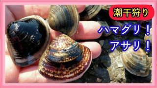 【潮干狩り】江●川放水路で潮干狩り😍アサリとハマグリの味は！？😲