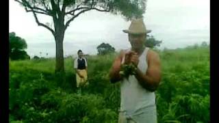 We are the world Tongan Style Version.mp4