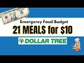 I ATE for $10 a week at Dollar Tree