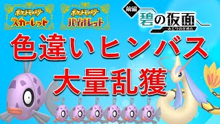 【ポケモンSV】色違いヒンバス厳選！大量乱獲して色違いミロカロス100匹配布会の第2弾をやりたい！