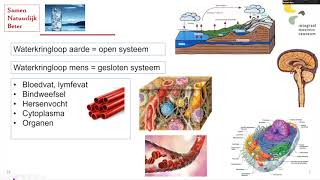 Webinar 14: Water, ons goedkoopste medicijn