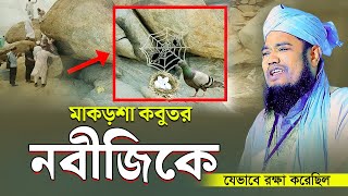 মাকড়শা কবুতর নবীজিকে যেভাবে র'ক্ষা করেছিল | ক্বারী রুহুল আমিন সিদ্দিকী