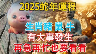 搶先看！2025蛇年運程，生肖豬、鼠、牛有大事發生，再急再忙也要看看【佛語】#運勢 #風水 #佛教 #生肖 #佛語