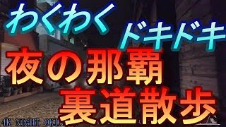 【那覇路地裏】沖縄/夜の那覇ドキドキ散歩「やちむん通り」まち猫が2匹出てくる短い動画・沖縄観光