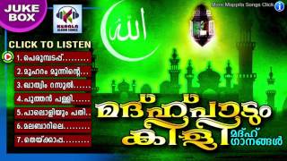 മദ്ഹ്പാടും കിളി  || Malayalam Mappila Songs | Madh Songs Malayalam | Muslim Devotional Songs