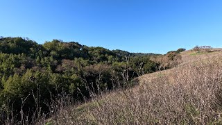 Solo Trail Hike in The Scenic Foothills of California