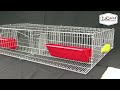 kandang puyuh quail cages product profile