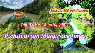 World's 2nd largest Mangrove forest Pichavaram| பிச்சாவரம் சதுப்பு நில காடுகள்| Pichavaram vlog|