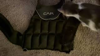 CAP Barbell 20 150 Lb Adjustable Weighted Vest, Regular and Short Options Review