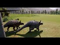 release all 106 dinosaurs max egg jurassic world evolution 2