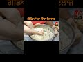 ਗੋਡਿਆਂ ਦੀ ਦਰਦ ਤੋਂ ਛੁਟਕਾਰਾ ਪਾਓ shortsfeed shorts shortsvideo food coockingchannel