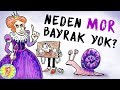 Ülke Bayraklarında Neden Mor Renk Kullanılmaz?