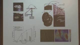 Bridge Project Technology Workshop 2013: So
