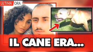 Bimba di 9 mesi sbranata dal cane, il papà crolla e confessa tutto: “Il cane era...”