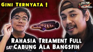 WAJIB TAU ❗ RAHASIA TREATMENT CHANNA RED PROGRESS FULL CABUNG ANDALAN BANGFISH