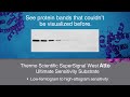 Thermo Scientific SuperSignal West Atto Ultimate Sensitivity Substrate - signal like never before