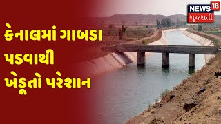 Mahisagar માં કેનાલમાં ગાબડા પડવાથી ખેડૂતો પરેશાન | Morning 100 | News18 Gujarati