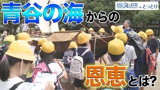 鳥取の海を愛する心を育む「海の学校」に小学生が1日入学 日本財団 海と日本PROJECT in とっとり 2019 #21