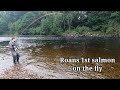 First On The Fly, Salmon Fishing Scotland