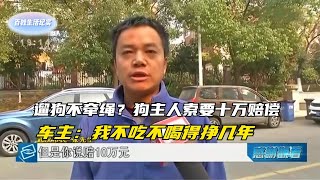 遛狗不牵绳出意外，狗主人索要10万赔偿：它多通人性你知道吗？