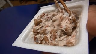 台湾人が教える！納豆を美味しく食べる方法【ビックリ日本】