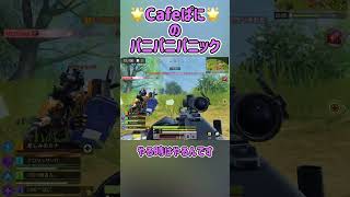 【やる時はやるんです】🌟cafe^^ぱにのパニパニパニック【CoD:Mobile】