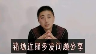 育肥猪反复腹泻，问题在哪里？两水泉来教你解决方法