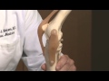 Matthew Matava, MD, on knee injuries