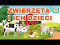 Zwierzęta i ich dzieci - Nauka zwierząt dla dzieci - Bajka edukacyjna dla dzieci | KIDSOLANDIA TV