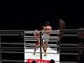 Vicious Muay Thai knees by Nabil Anane