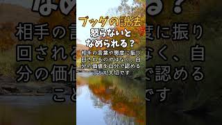 【ブッダが説く】怒らないとなめられる？　#ブッダ #ブッダの教え #仏陀 #仏陀の教え #お釈迦様 #仏教 #マインドフルネス #瞑想 #自己啓発 #メンタル #悩み #相談 #怒り   #煩悩