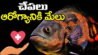 చేపలు ఆరోగ్యానికి మేలు | Health Tips | Telugu Tips | Fish Healthy Food | PDTV Health and Beauty