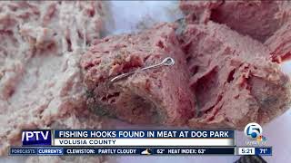 Fish hooks found in meat left at Florida dog park