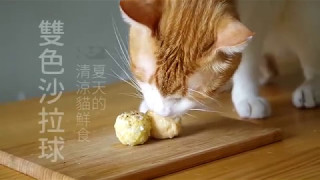 雙色沙拉球，夏天清爽貓鮮食【貓副食食譜】好味貓廚房EP46
