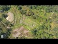 【香港最美風景 沙螺洞 張屋🏡 2024 冬】朴樹 chinese hackberry｜楓香🍁 sweet gum trees｜九龍坑山｜香港風情畫｜mavic3pro｜28 dec 2024